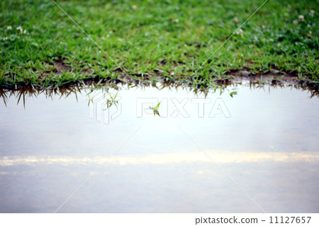 After the rain After the rain 11127657