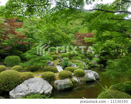 一個花園 一個花園 11130193