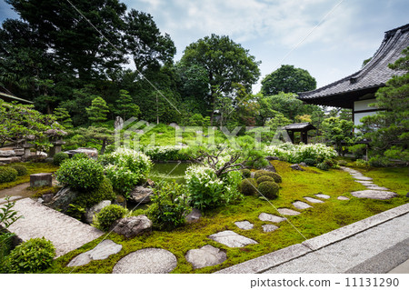 Bothanso花園 11131290