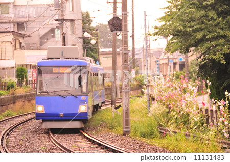 在初夏的世田谷線 11131483