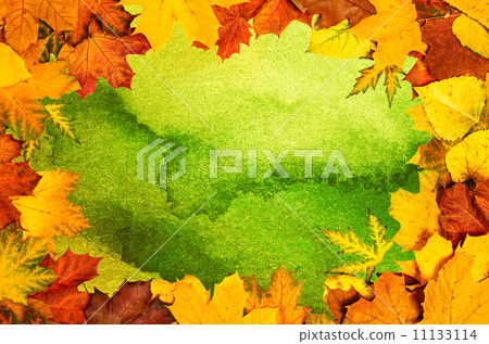 Autumn leaves frame Autumn leaves frame 11133114