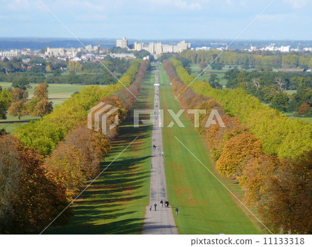 Windsor Castle from England, Long Walk 11133318
