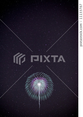 煙花在滿天的星空中毆打 11133787