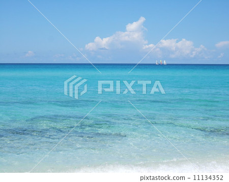 海 海 11134352