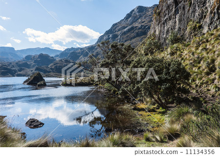 Cajas National Park, Andean Highlands, Ecuador Cajas National Park, Andean Highlands, Ecuador 11134356
