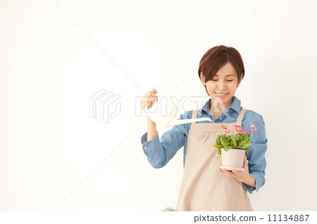 做園藝的女性 做園藝的女性 11134887