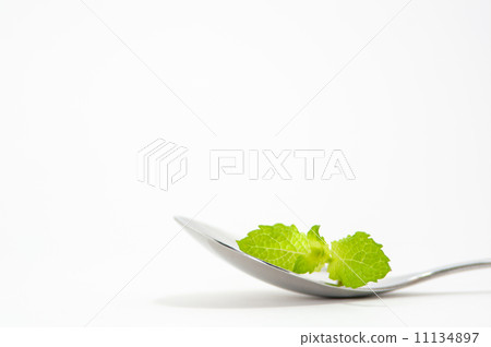 Spoon and mint Spoon and mint 11134897