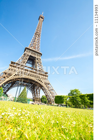 Eiffel Tower Eiffel Tower 11134993