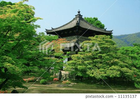 Shikaoin Shikaoin 11135137