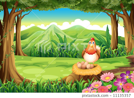 A hen above the stump A hen above the stump 11135357
