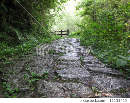 Nakasendo stone pavement 11135433