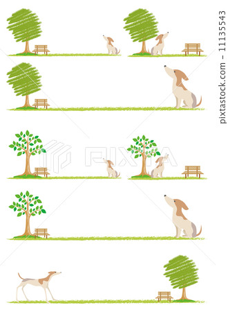 Dog-walking Dog-walking 11135543