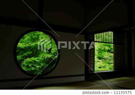 Fresh green of Genkoan Fresh green of Genkoan 11135575