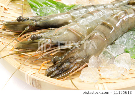 Raw shrimp 11135618