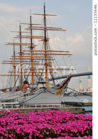 帆船Kaio Maru 11135646