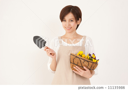 園藝 園藝 11135986