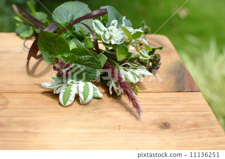 Agereatum's bouquet 11136251