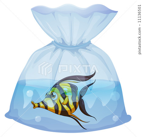 A fish inside the plastic container A fish inside the plastic container 11136501