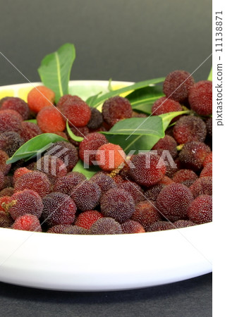 Yamamomo Yamamomo 11138871