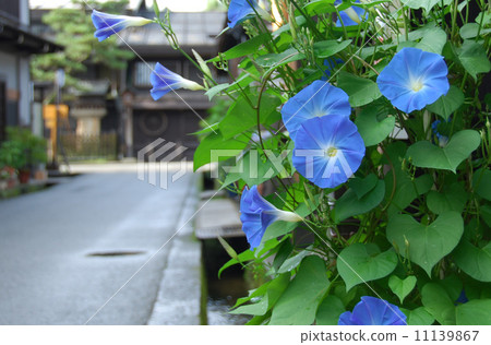 老城市地平線在夏天 11139867