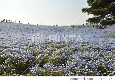 Hitachinaka Beach Park 11140047