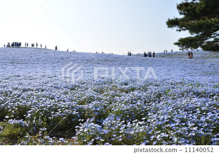 Hitachinaka Beach Park 11140052