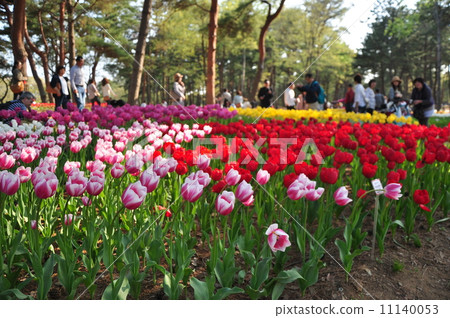 Hitachinaka Beach Park Hitachinaka Beach Park 11140053