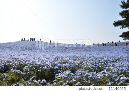 Hitachinaka Beach Park Hitachinaka Beach Park 11140055