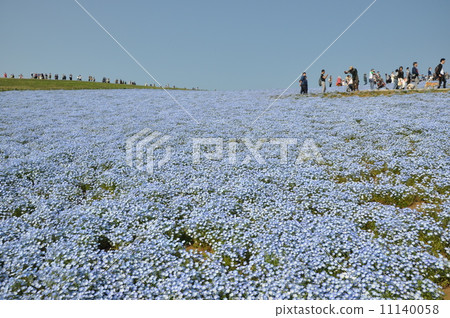 Hitachinaka Beach Park 11140058