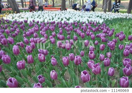 Hitachinaka Beach Park 11140069