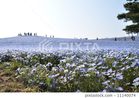 Hitachinaka Beach Park Hitachinaka Beach Park 11140074