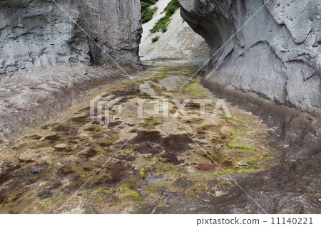 Futagaura Futagaura 11140221