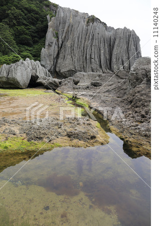 Futagaura Futagaura 11140248