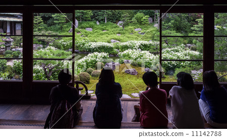 查看從花園到花園 11142788
