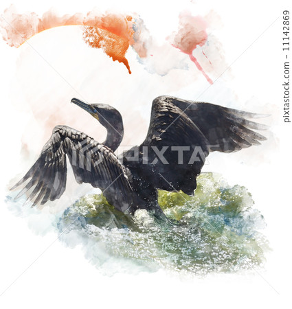 Watercolor Image Of  Double-crested Cormorant 11142869
