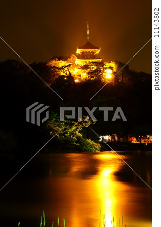 點亮三皮花園 11143802