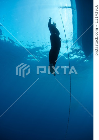 Free Diver Free Diver 11143916