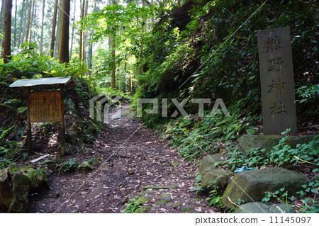 熊野神社 熊野神社 11145097