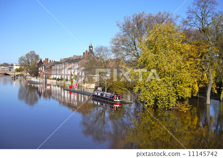 British landscape 11145742