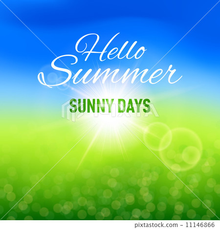 Summer background 11146866