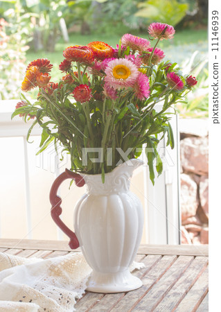 Bouquet of Everlasting flowers 11146939