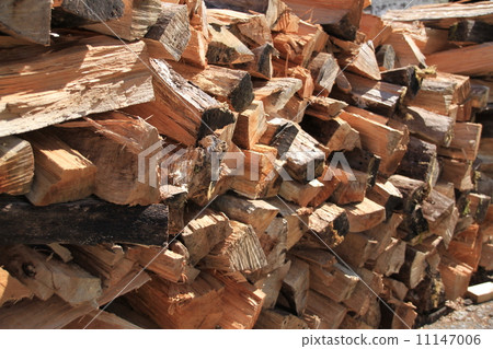 Stacked firewood 11147006