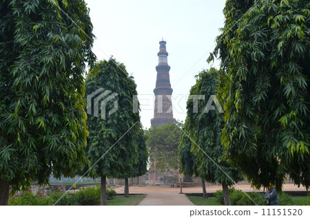 Qutub Minar rose above the trees tree of the Ashoka tree 11151520
