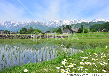 Hakuba village Morishige in June 11151793