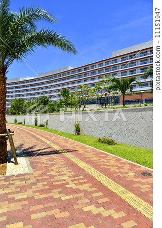 Resort Hotel 11151947