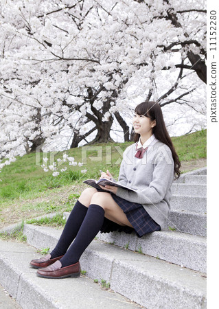 學習在櫻桃樹下的學校女孩 學習在櫻桃樹下的學校女孩 11152280