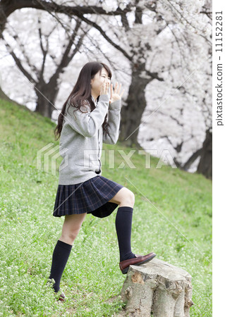 在櫻桃樹前歡呼的學校女孩 在櫻桃樹前歡呼的學校女孩 11152281