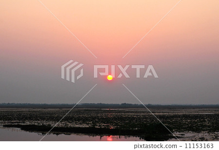 Sun rising over a swamp in Thailand. Sun rising over a swamp in Thailand. 11153163