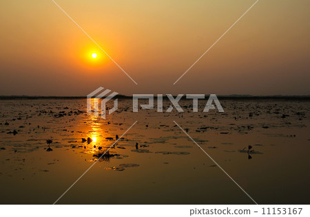 Putting Sun on the lake Putting Sun on the lake 11153167