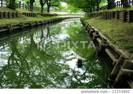 葉子櫻桃樹Shinagawa河Kawagoe 葉子櫻桃樹Shinagawa河Kawagoe 11153802